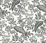 Canopy Black & White Wallpaper with Botanical Tropical Leaf Print - York RI5136