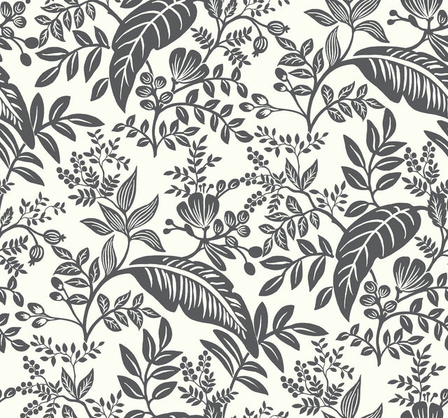 Canopy Black & White Wallpaper with Botanical Tropical Leaf Print - York RI5136