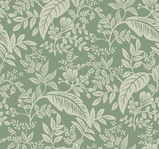 Canopy Sage Wallpaper with Botanical Tropical Leaf Pattern, Non Woven Unpasted - York RI5140