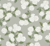 Hydrangea Grey Wallpaper with Botanical Floral Pattern, Screen-Printed Non Woven - York RI5144