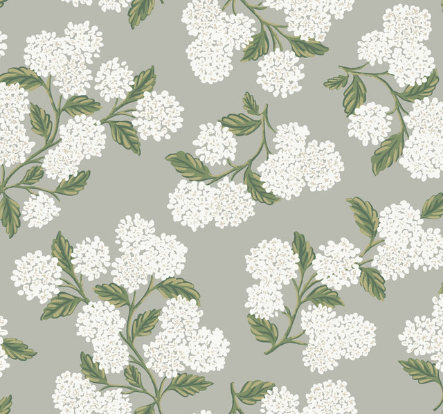 Hydrangea Grey Wallpaper with Botanical Floral Pattern, Screen-Printed Non Woven - York RI5144