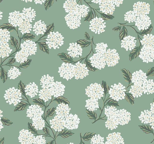 Hydrangea Jade Botanical Non Woven Wallpaper with Overscale Floral Pattern - York RI5145