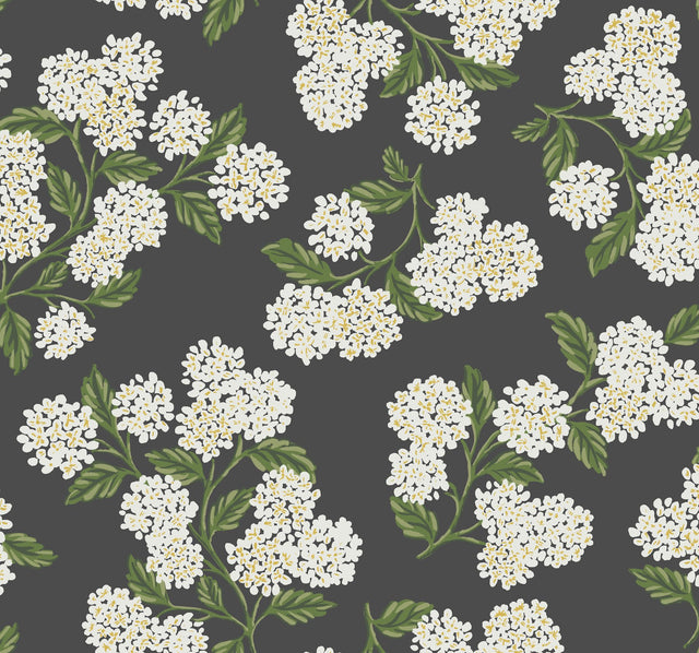 Hydrangea Black & White Wallpaper with Botanical Floral Pattern, Non Woven Drop Match - York RI5146
