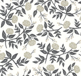 Peonies White & Black Wallpaper with Botanical Peonies Motif - York RI5150
