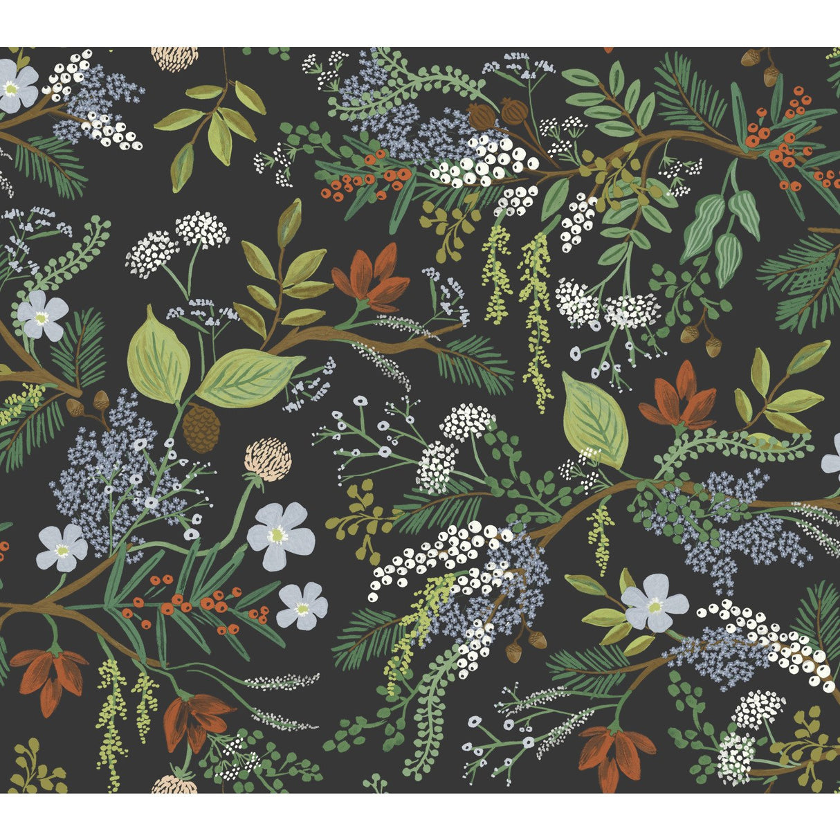 Juniper Forest Black Botanical Wallpaper with Woodsy Berries and Pinecones Motif - York RI5166