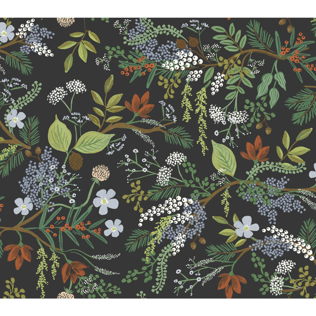 Juniper Forest Black Botanical Wallpaper with Woodsy Berries and Pinecones Motif - York RI5166
