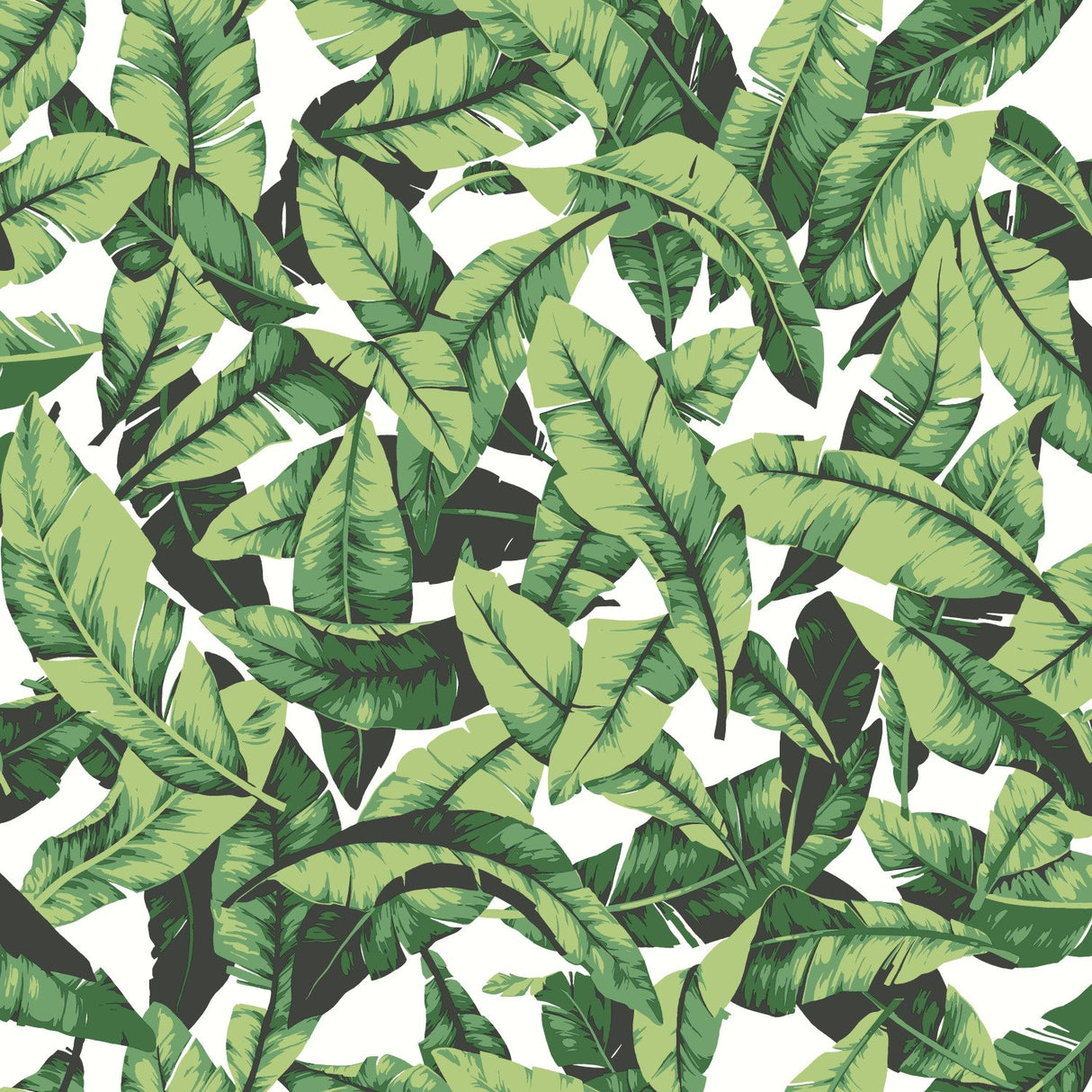 Palm Leaf Green Peel & Stick Wallpaper with Tropical Nature Leaves Pattern - York RMK11045WP