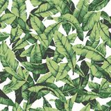 Palm Leaf Green Peel & Stick Wallpaper with Tropical Nature Leaves Pattern - York RMK11045WP
