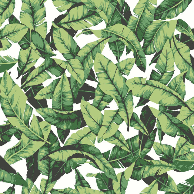 Palm Leaf Green Peel & Stick Wallpaper with Tropical Nature Leaves Pattern - York RMK11045WP