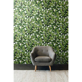 Palm Leaf Green by RoomMates Lush Tropical Banana Leaf Vinyl Peel and Stick Wallpaper Roll 20.5 In x 16.5 Ft Covers 28.2 Sq Ft - RMK11045WPZ