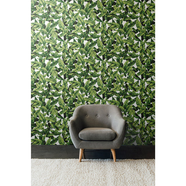Palm Leaf Green Peel & Stick Wallpaper with Tropical Nature Leaves Pattern - York RMK11045WP