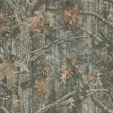 Kanati Camo Green Peel & Stick Wallpaper with Botanical Leaf Camouflage - York RMK11081WP