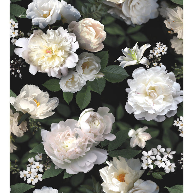 Photographic Floral Black Peel & Stick Vinyl Wall Mural with Botanical Flower Pattern - York RMK11239M