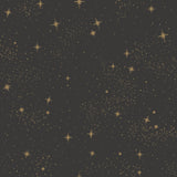 Upon A Star Black Peel & Stick Wallpaper with Metallic Starry Night Pattern, Whimsical Outer Space Style - York RMK11318WP