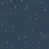 Upon A Star Navy Peel & Stick Wallpaper with Metallic Stars - York RMK11319WP