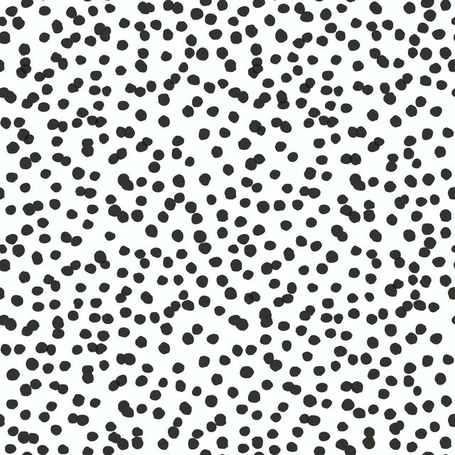 Confetti Black Peel & Stick Wallpaper with Whimsical Global Novelty Pattern - York RMK11406WP