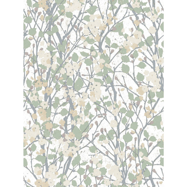Willow Branch Green Peel & Stick Wallpaper with Modern Botanical Tree Pattern - York RMK11422RL