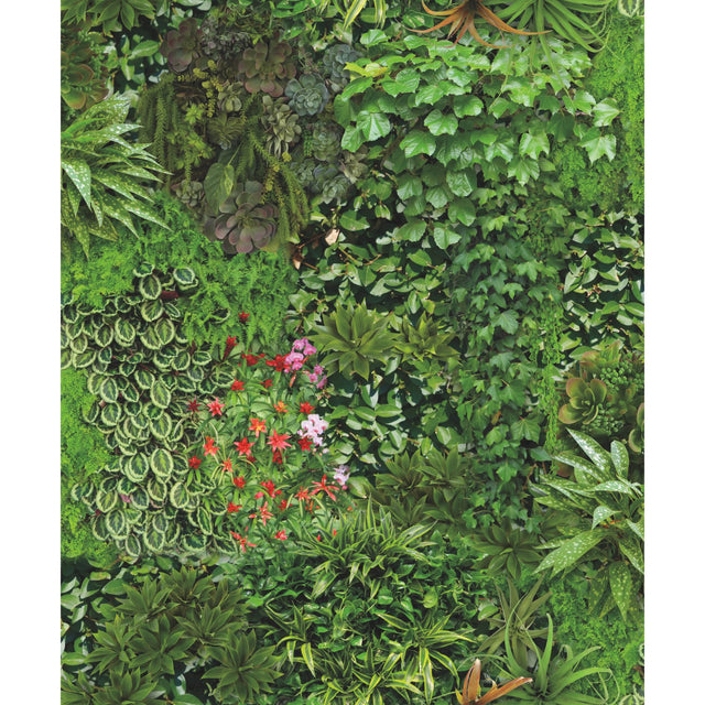 Living Wall Green Peel & Stick Wallpaper with Lush Botanical Leaves Motif - York RMK11567RL