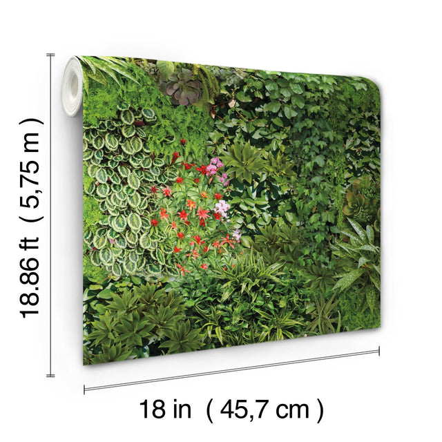 Living Wall Green Peel & Stick Wallpaper with Lush Botanical Leaves Motif - York RMK11567RL