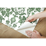 Vine Damask Green Peel & Stick Wallpaper with Botanical Traditional Motif - York RMK11596RL