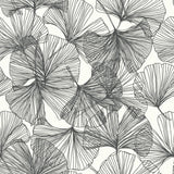 Ginkgo Leaves Black Peel & Stick Wallpaper with Modern Botanical Leaf Pattern - RoomMates RMK11601WP