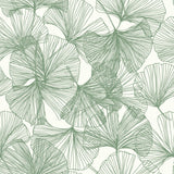 Ginkgo Leaves Green Peel & Stick Wallpaper with Modern Botanical Leaf Pattern - York RMK11603WP