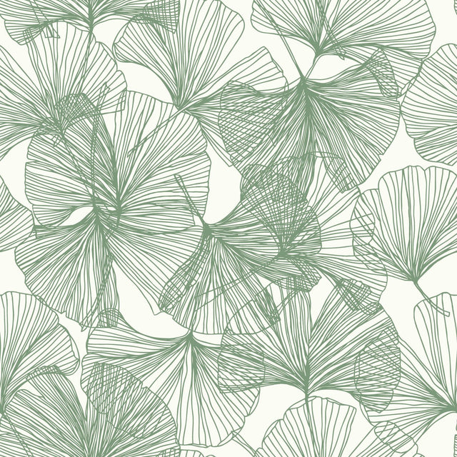 Ginkgo Leaves Green Peel & Stick Wallpaper with Modern Botanical Leaf Pattern - York RMK11603WP