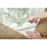 Ginkgo Leaves Green Peel & Stick Wallpaper with Modern Botanical Leaf Pattern - York RMK11603WP