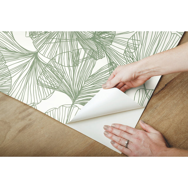 Ginkgo Leaves Green Peel & Stick Wallpaper with Modern Botanical Leaf Pattern - York RMK11603WP