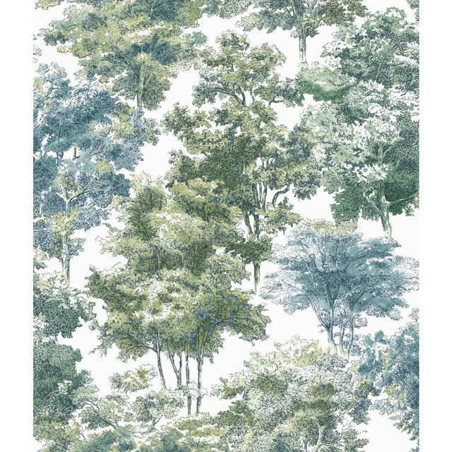 Old World Trees Green Peel & Stick Wallpaper with Vintage Botanical Trees Pattern - York RMK11615WP