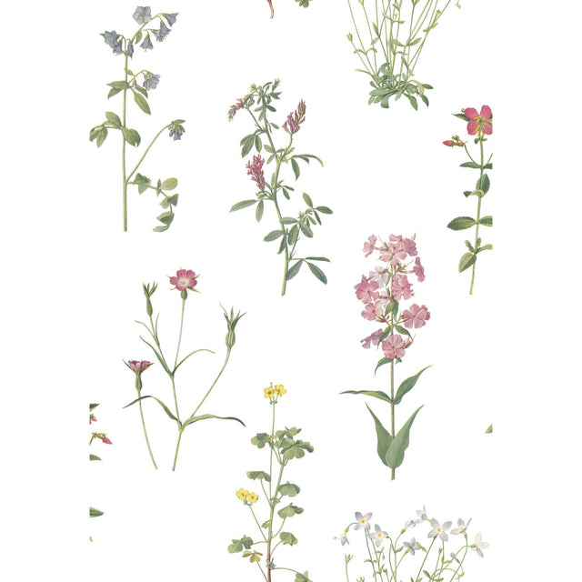 Botanical Print Green Peel & Stick Wallpaper with Floral Botanical Pattern - York RMK11644RL