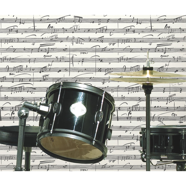 Melody Black Peel & Stick Wallpaper with Metallic Accents and Music Notation Novelty Pattern - York RMK11651WP
