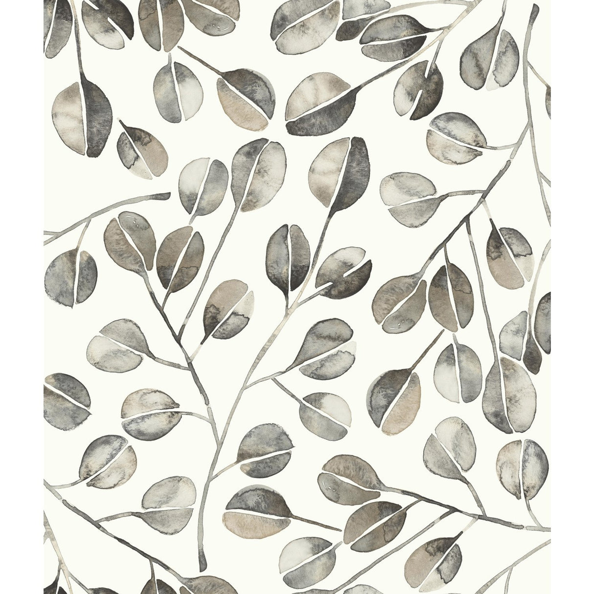 Cat Coquillette Eucalyptus Grey Peel & Stick Wallpaper with Botanical Leaves Pattern, Modern Style - York RMK11653WP