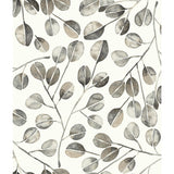 Cat Coquillette Eucalyptus Grey Peel & Stick Wallpaper with Botanical Leaves Pattern, Modern Style - York RMK11653WP