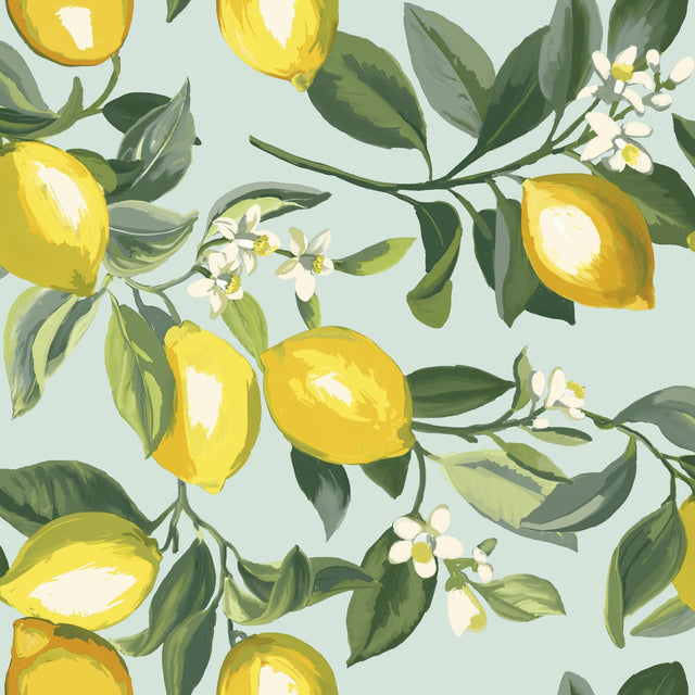 Lemon Zest Yellow Peel & Stick Wallpaper with Fruit Botanical Pattern, Kitchen & Bath Style - York RMK11656WP