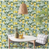 Lemon Zest Yellow Peel & Stick Wallpaper with Fruit Botanical Pattern, Kitchen & Bath Style - York RMK11656WP