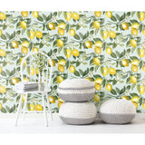 Lemon Zest Yellow Peel & Stick Wallpaper with Fruit Botanical Pattern, Kitchen & Bath Style - York RMK11656WP