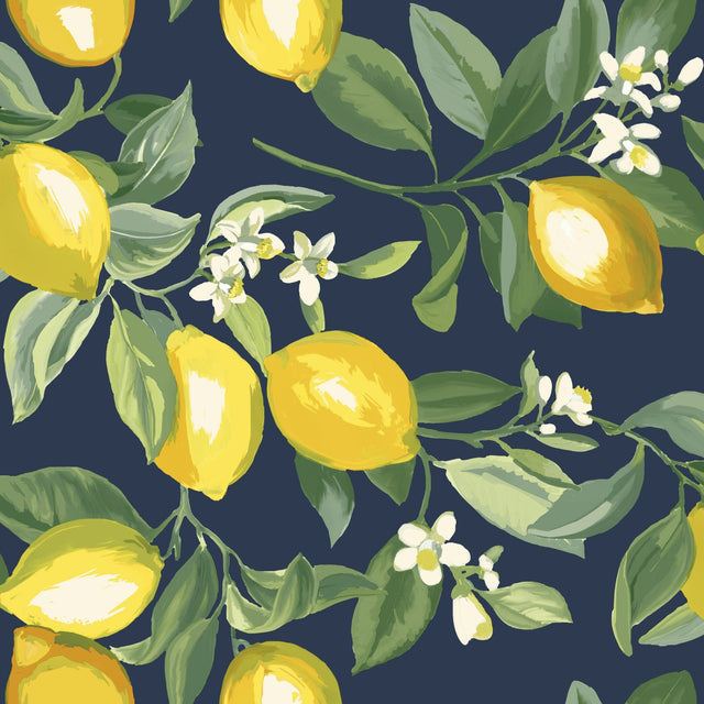 Lemon Zest Yellow and Navy Peel & Stick Wallpaper with Fruit Botanical Pattern, Kitchen & Bath - York RMK11657WP