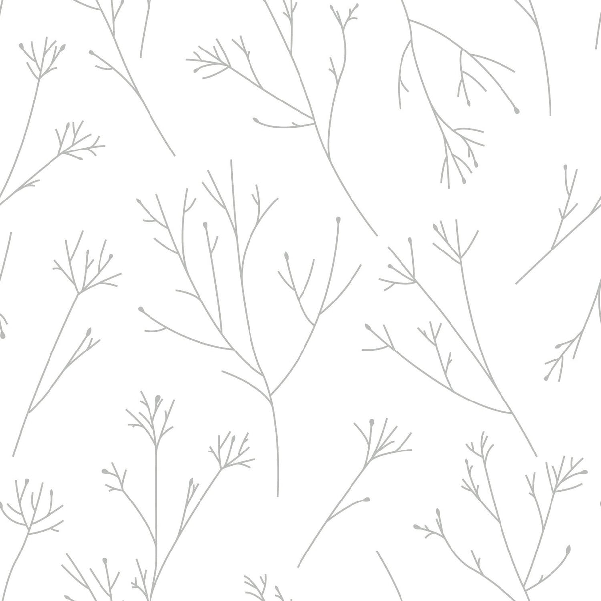 Twigs Grey Peel & Stick Wallpaper with Modern Botanical Twig Motif - York RMK11677WP