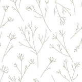 Twigs Brown Peel & Stick Wallpaper with Modern Botanical Twig Pattern - York RMK11678WP