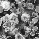 Vintage Floral Blooms Black Peel & Stick Wallpaper with Vintage Botanical Floral Pattern - York RMK11718RL