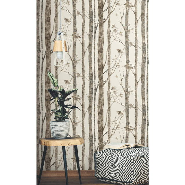 Trees Taupe Peel & Stick Wallpaper with Modern Nature Birch Motif - York RMK11727WP
