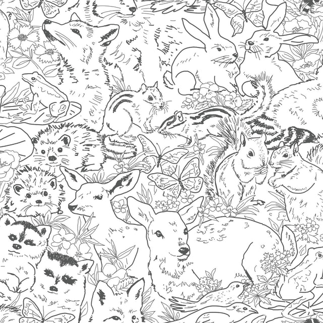 Woodland Sketch Black Peel & Stick Wallpaper with Woodland Animal Novelty Pattern - York RMK11729RL