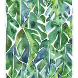 Cat Coquillette Philodendron Green Peel & Stick Wallpaper with Botanical Leaf Pattern, Tropical Style - York RMK11813WP