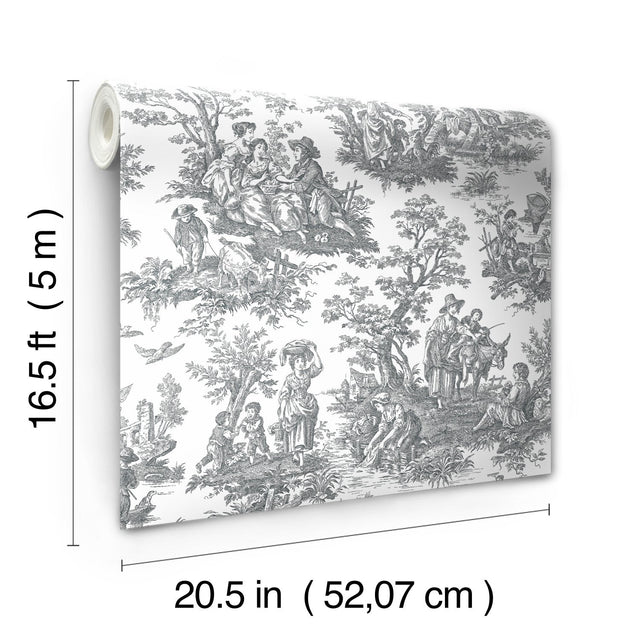 Country Life Toile Grey Peel & Stick Wallpaper with Classic Country Toile Pattern - York RMK11869WP