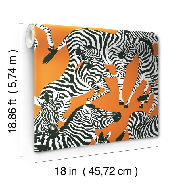 Herd Together Orange Peel & Stick Wallpaper with Novelty Zebra Pattern, Traditional Style - York RMK11875RL
