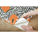 Herd Together Orange Peel & Stick Wallpaper with Novelty Zebra Pattern, Traditional Style - York RMK11875RL
