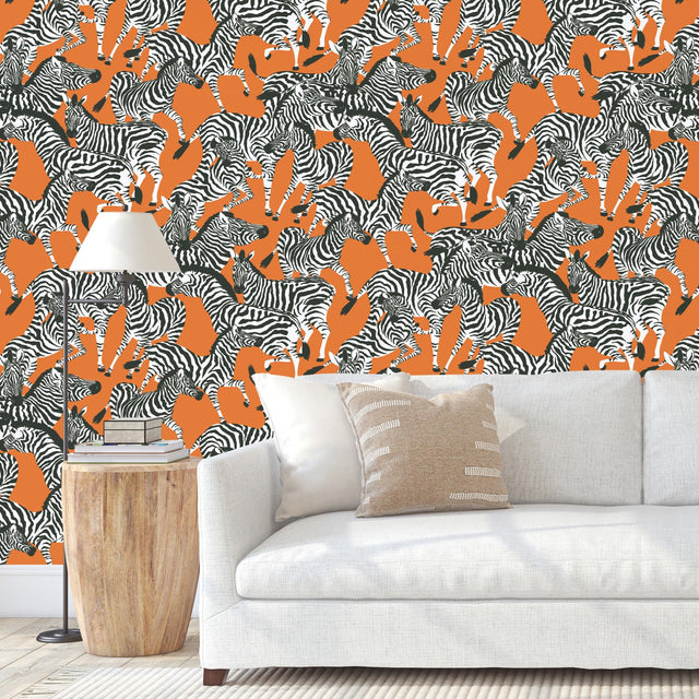Herd Together Orange Peel & Stick Wallpaper with Novelty Zebra Pattern, Traditional Style - York RMK11875RL
