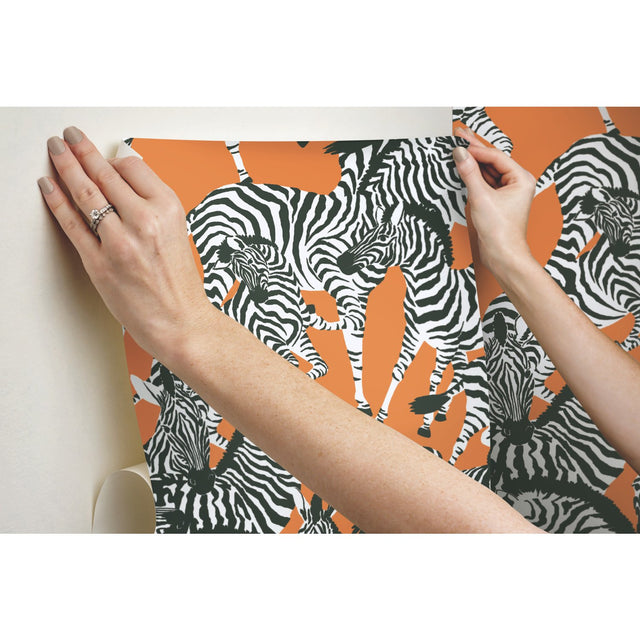 Herd Together Orange Peel & Stick Wallpaper with Novelty Zebra Pattern, Traditional Style - York RMK11875RL
