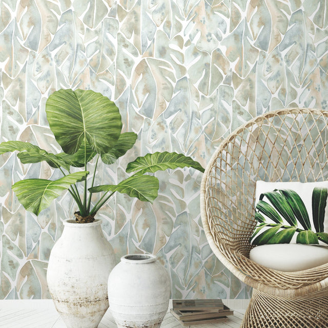 Cat Coquillette Philodendron Blue Peel & Stick Wallpaper with Tropical Botanical Leaves - York RMK11907WP